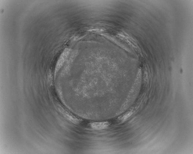 X0000070390465200607072223