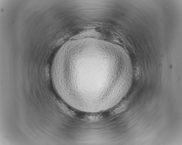 X0000070390466200607072223