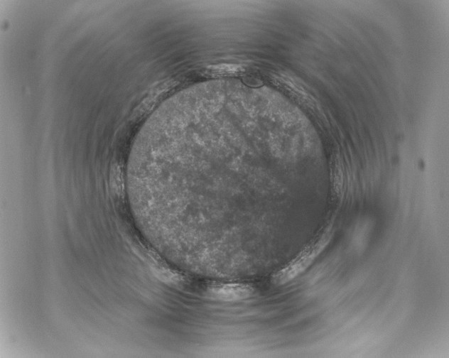 X0000070390467200607072223