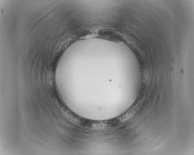 X0000070390470200607072223