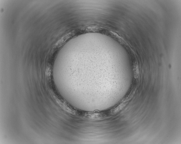 X0000070390472200607072223