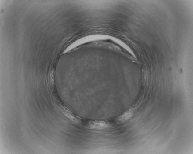 X0000070390475200607072224