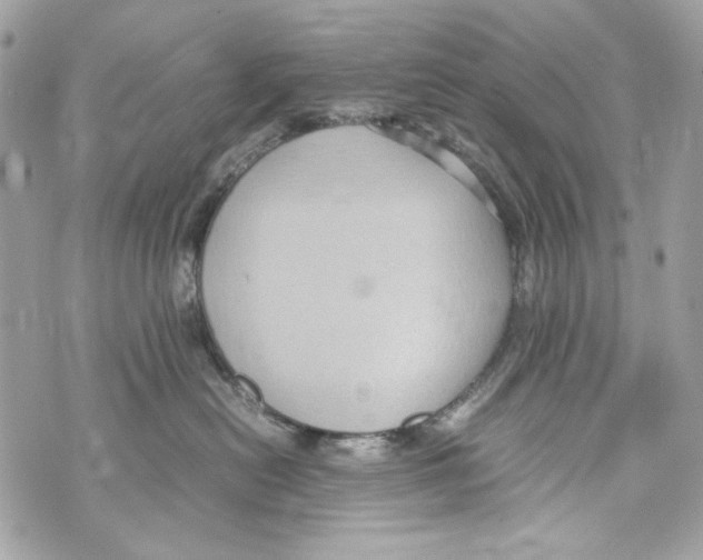 X0000070390478200607072224