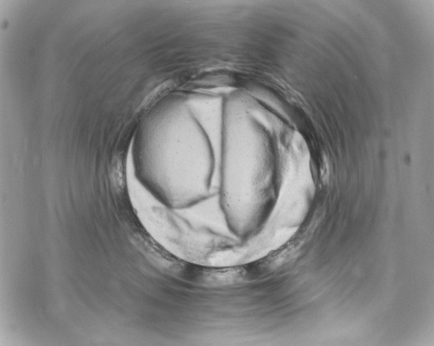 X0000070390479200607072224