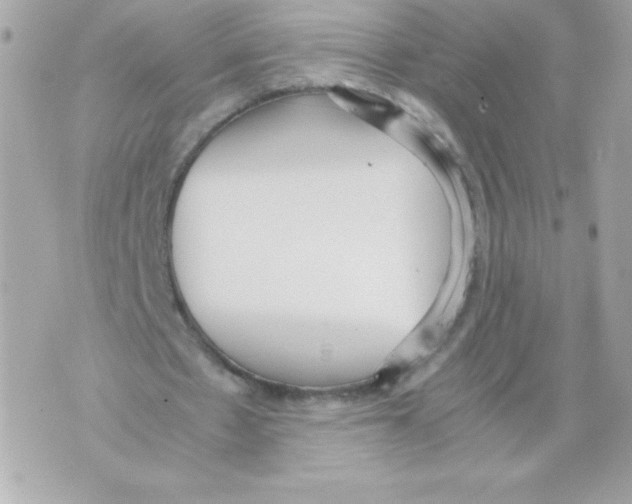 X0000070390481200607072223