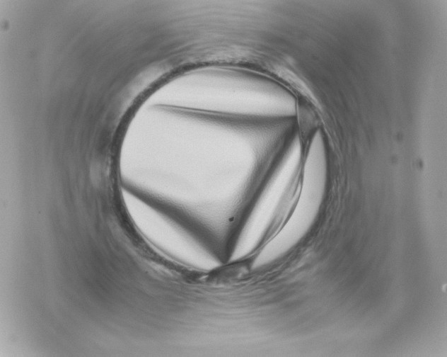 X0000070390483200607072223