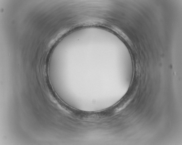 X0000070390485200607072223