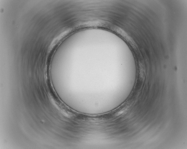 X0000070390486200607072223