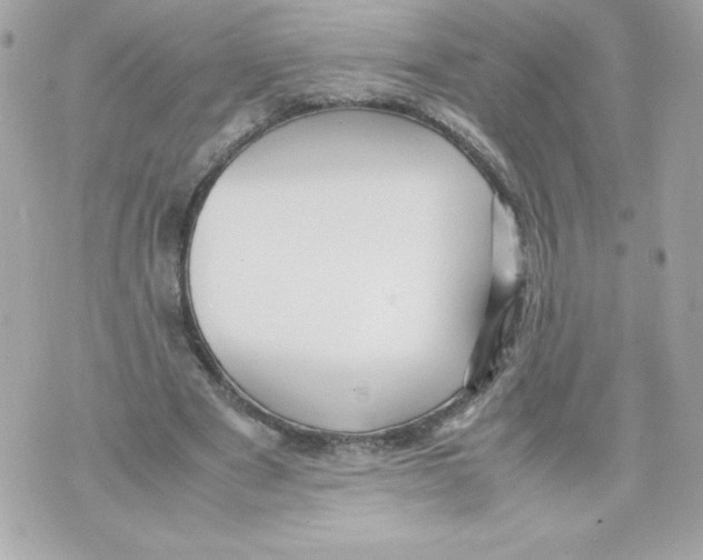 X0000070390489200607072223