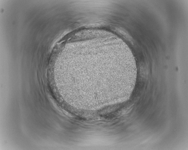 X0000070390491200607072223