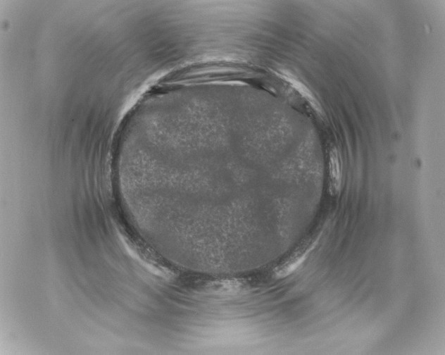 X0000070390492200607072223