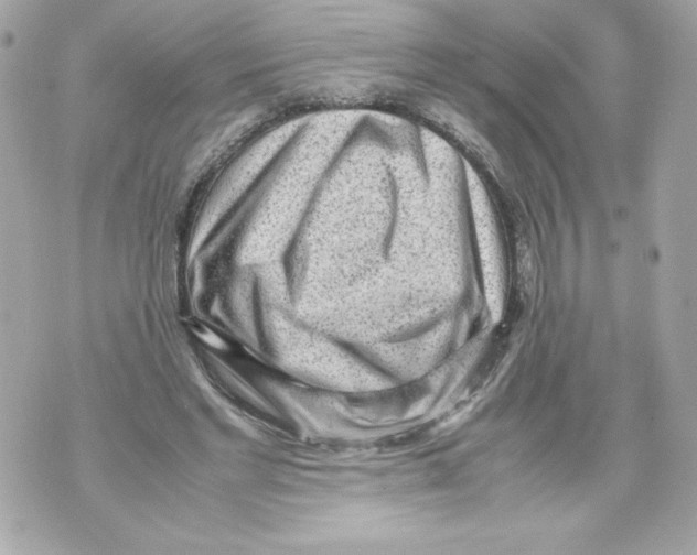 X0000070390493200607072223