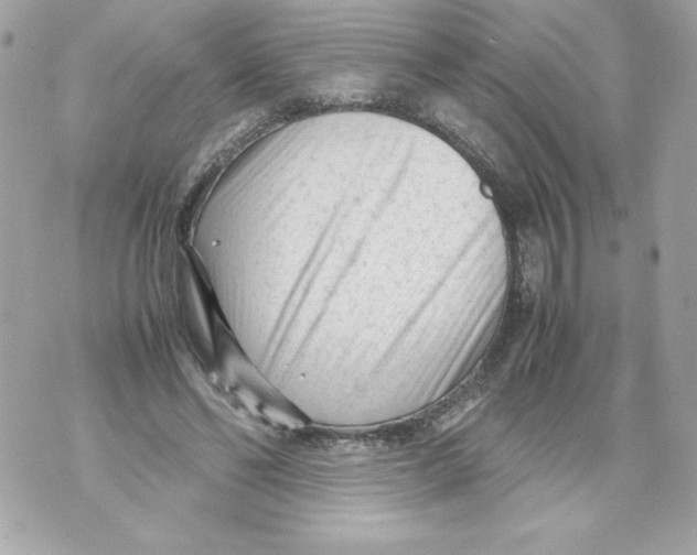 X0000070390494200607072223