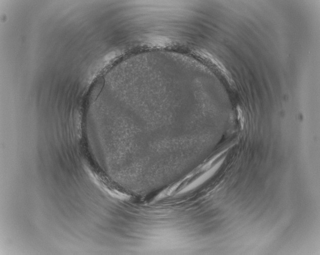 X0000070390496200607072223