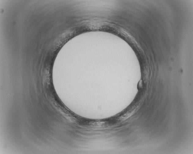 X0000070390497200607072223