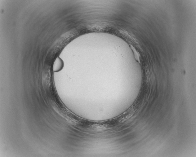 X0000070390498200607072223