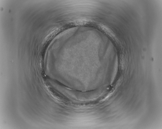 X0000070390501200607072223