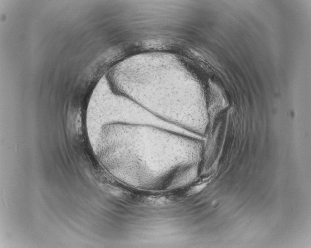 X0000070390502200607072223