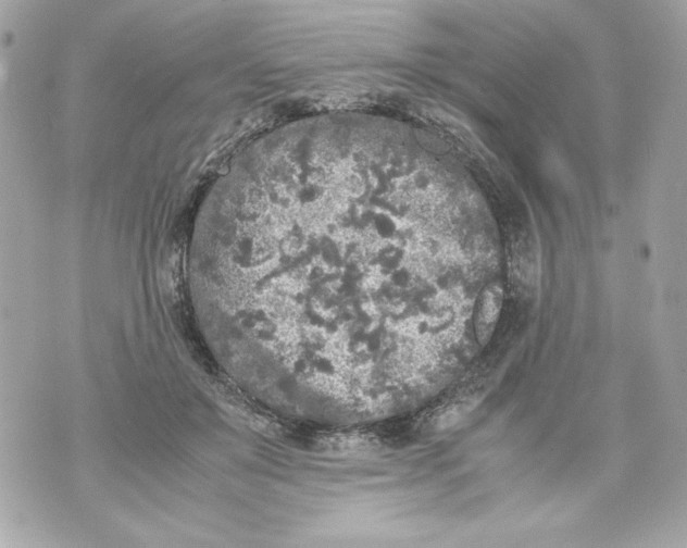 X0000070390503200607072222