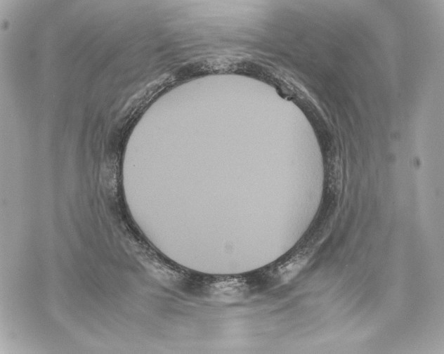 X0000070390505200607072222