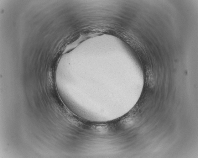 X0000070390506200607072222