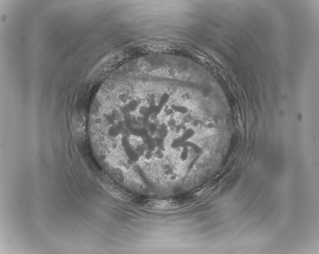 X0000070390507200607072222