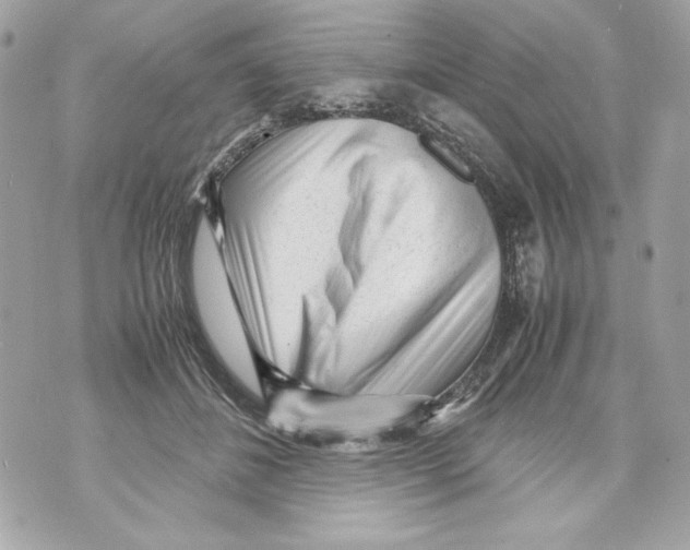 X0000070390508200607072222