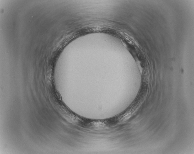 X0000070390509200607072222