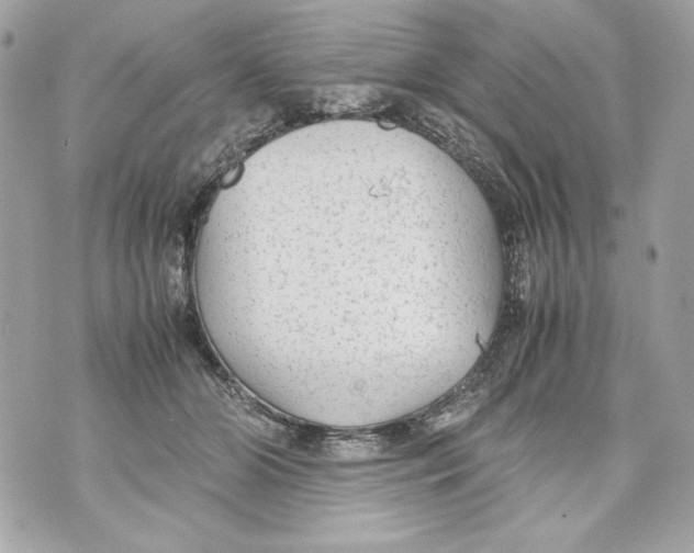 X0000070390510200607072222