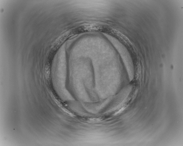 X0000070390513200607072222