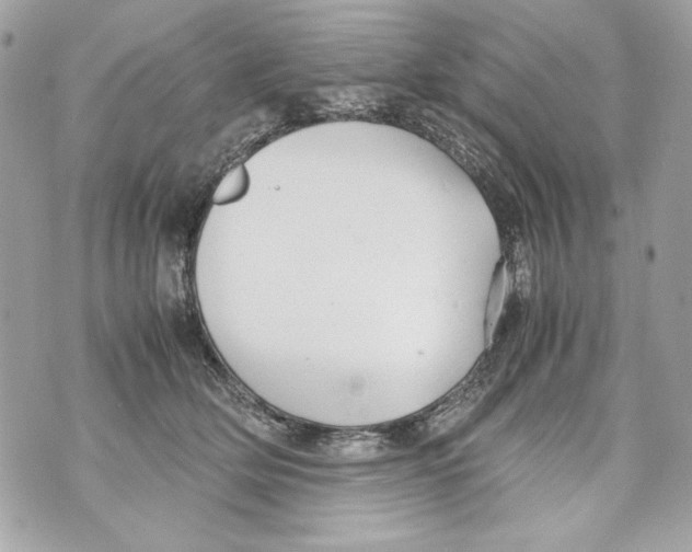 X0000070390514200607072222