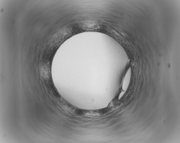 X0000070390515200607072222