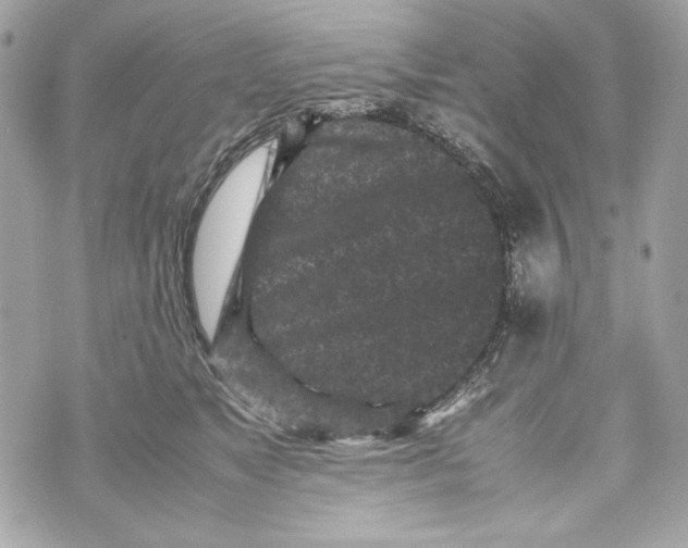 X0000070390517200607072222