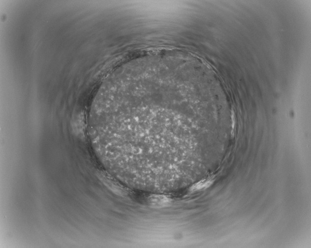 X0000070390519200607072222