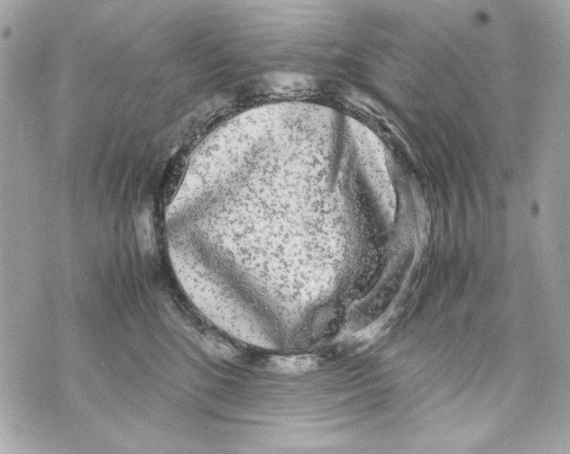 X0000070390520200607072222