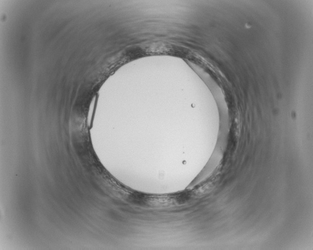 X0000070390521200607072222