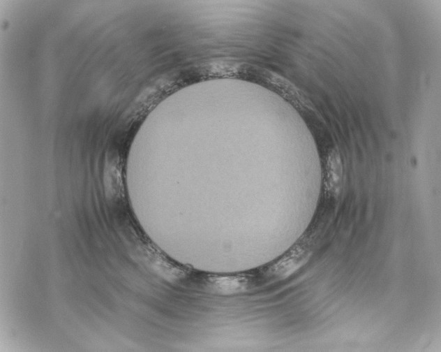 X0000070390522200607072222