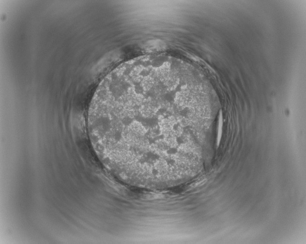 X0000070390523200607072222