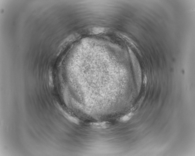 X0000070390524200607072222