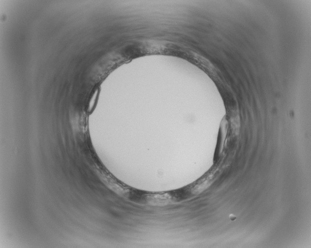 X0000070390525200607072222