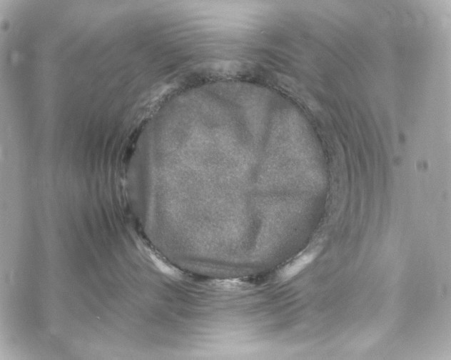 X0000070390528200607072222