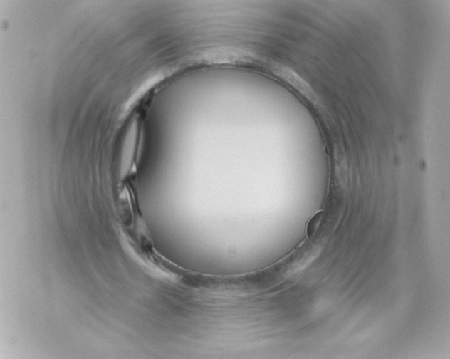 X0000070390530200607072221