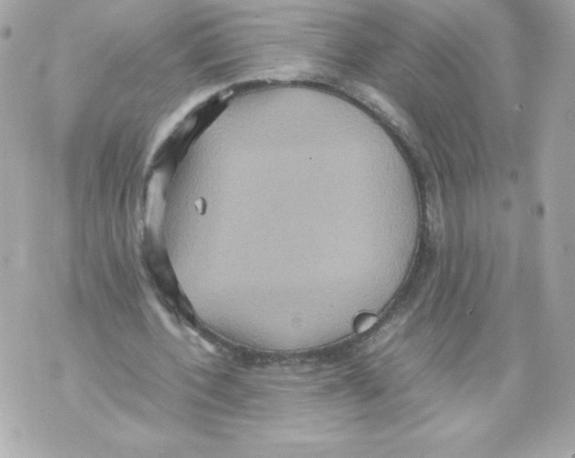 X0000070390532200607072221