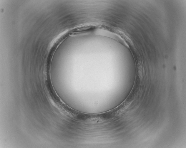 X0000070390536200607072221