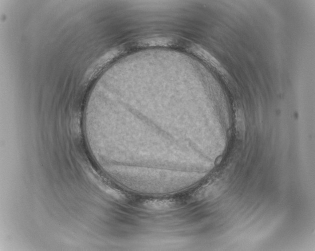 X0000070390537200607072221