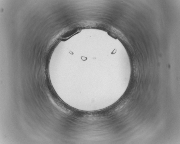 X0000070390538200607072221