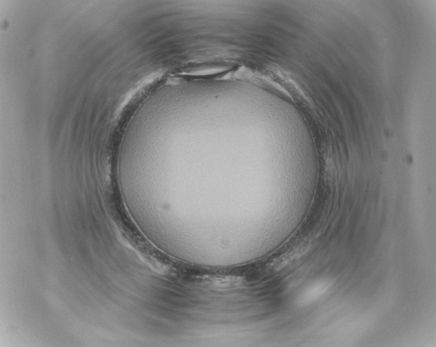 X0000070390539200607072221