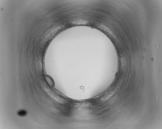 X0000070390541200607072221