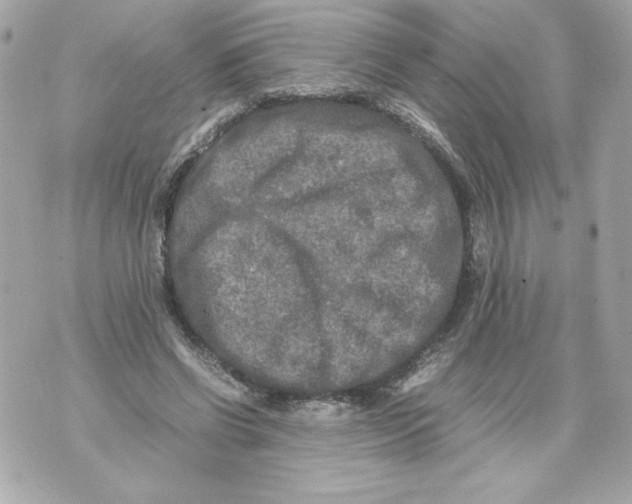 X0000070390542200607072222