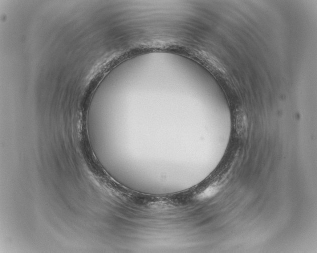 X0000070390544200607072222